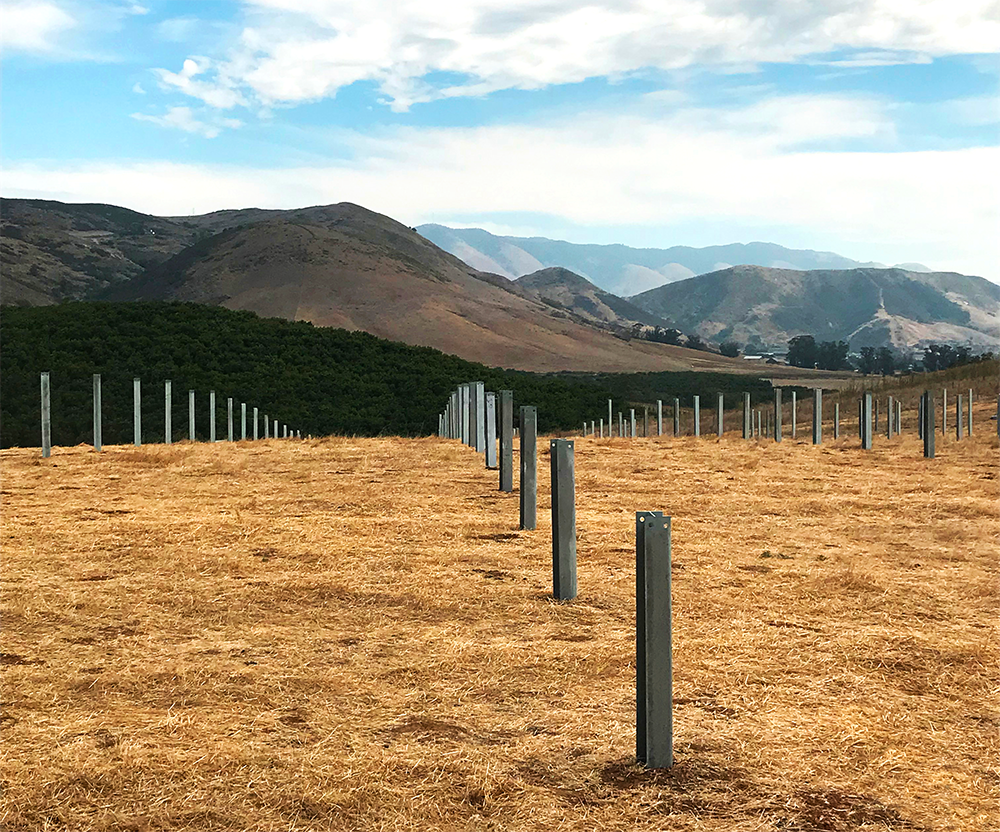 Steel piles installed on a solar tracker project with mountains in the background.